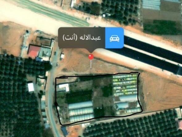 للبيع مزرعه بعنيزه