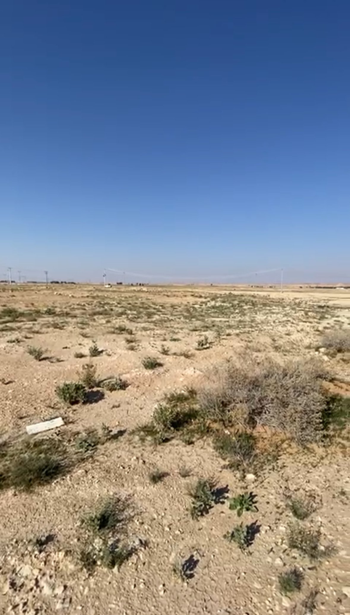 ارض بعنيزه حي الواحه